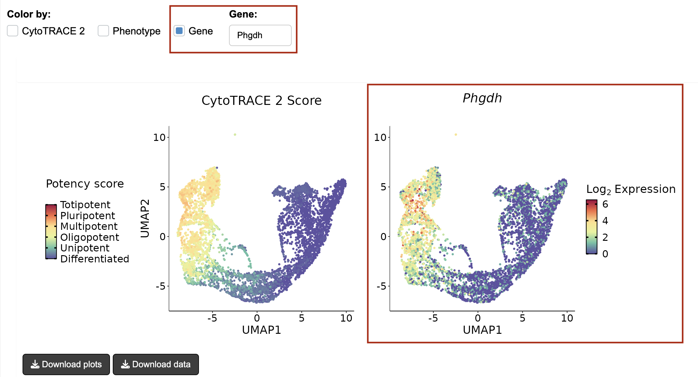 CytoTRACE